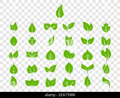 Vektorgrafik. Eco, grüne Blätter Symbol gesetzt Stock Vektor