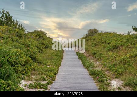 Weg aus Holzplanken durch die grünen Dünen zum Strand in Jütland, Dänemark Stockfoto