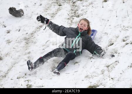 Amy Heather, 10 Jahre alt, Rodeln in der Nähe der Küste bei Southend-on-Sea in Essex. Das Met Office veröffentlichte schwere bernsteinfarbene Schneewarnungen für London und Südostengland, wo starker Schnee wahrscheinlich zu langen Verzögerungen auf den Straßen und bei Bahn- und Flugreisen führen wird. Bilddatum: Montag, 8. Februar 2021. Stockfoto