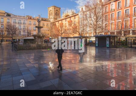 Granada, Spanien - März 30 2018: Ein Westie White Terrier auf einen Spaziergang mit seinem Besitzer, wie die Sonne kommt nach einem Regen auf der Plaza Bibarrambla in Stockfoto