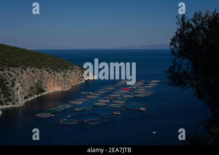 Fischfarmen im Meer vom Berg aus Stockfoto