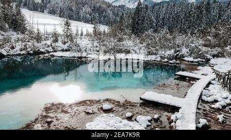 Naturschutzgebiet Zelenci Springs in der Nähe von Kranjska Gora, Slowenien im Winter. See, wolkiger Tag, Schnee. Stockfoto