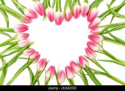 Rahmenvorlage mit Blumenmuster. Rosa Tulpe Blumen Herz auf weißem Hintergrund Stockfoto