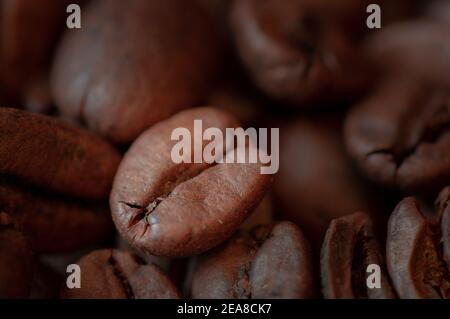 Nahaufnahme einer Kaffeebohne mit mehr Bohnen im Hintergrund Stockfoto