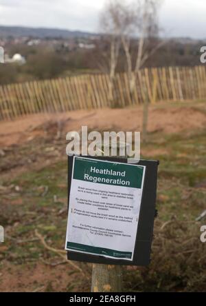 Bereich von Hartlebury gemeinsame eingezäunt, um Heide Regeneration zu unterstützen. Stockfoto