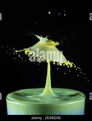 High-Speed-Schuss von Milchtropfen kollidieren und schaffen ein Splash in gelb und grün Stockfoto