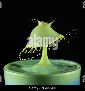 High-Speed-Schuss von Milchtropfen kollidieren und schaffen ein Splash in gelb und grün Stockfoto