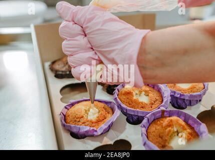 Nahaufnahme einer Konditorin mit rosa Handschuhen, die Cupcakes macht Verwendung von Konditorei mit Sahne im Konditorei-Studio Stockfoto