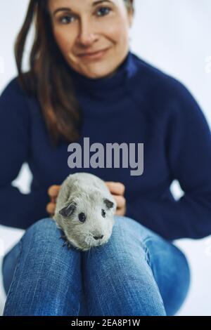 Brunette glücklich Frau hält ein graues Meerschweinchen sitzend auf Ihre Knie schauten auf die Kamera Stockfoto