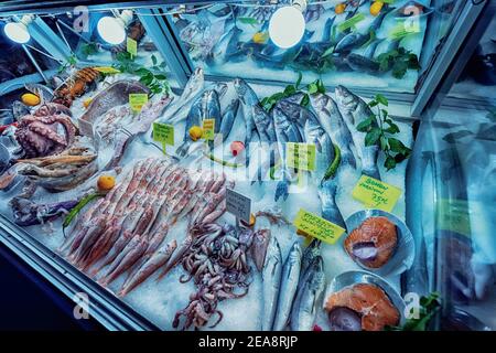 Eine reiche Auswahl an verschiedenen frischen mediterranen Fischen, Garnelen und Schalentieren auf der Theke des Restaurants. Konzept von Köstlichkeiten und Publ Stockfoto