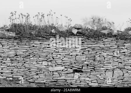 Bild von Steinmauer in ländlicher Umgebung, schwarz-weiß-Bild Stockfoto