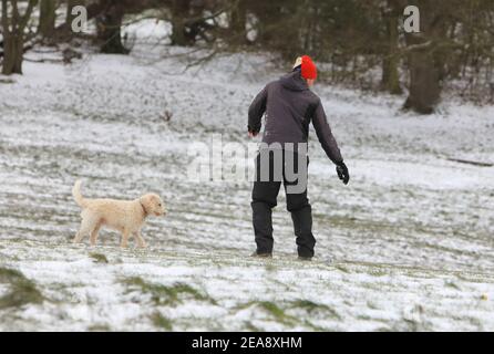 London, Großbritannien. 8th. Februar 2021. Winterliche Szenen auf Parliament Hill, im Norden Londons, Großbritannien, als Storm Darcy am 8th 2021. Februar mit The Beast from the East 2 die Hauptstadt trifft. Hier wird ein Snowboarder von einem neugierigen Freund beobachtet. Monica Wells/Alamy Live News Stockfoto