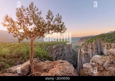 Grandiose faszinierende und tiefe Tazi Schlucht in der Türkei bei Sonnenaufgang. Eine berühmte Touristenattraktion und ein toller Ort für Fotos und Wandern in den Bergen. Stockfoto