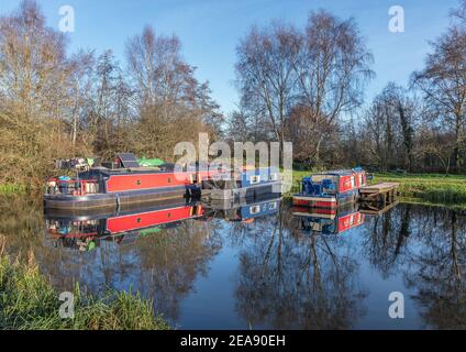 Melbourne, East Yorkshire, UK, 01/12/2020 - Canal Narrow Boote in Melbourne Arm in sonnigen Tag mit Reflexionen im stillen Wasser festgemacht. Stockfoto