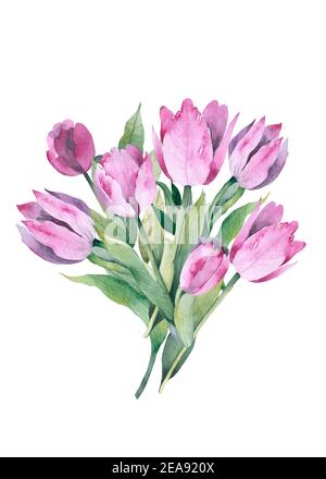 Realistisches Tulpen-Set. Nicht verfolgen. Der Rohling für Ihr Design. Rosa Tulpen Blumen auf weißem Hintergrund. Stockfoto
