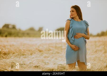 Ziemlich junge schwangere Frau in blauem Kleid entspannend draußen in Natur am Sommertag Stockfoto