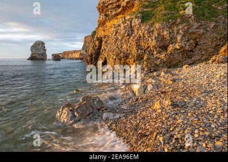 Die magnesianischen Kalksteinfelsen von Marsden Bay, beleuchtet von frühem Sommersonnenlicht, South Shields, England Stockfoto