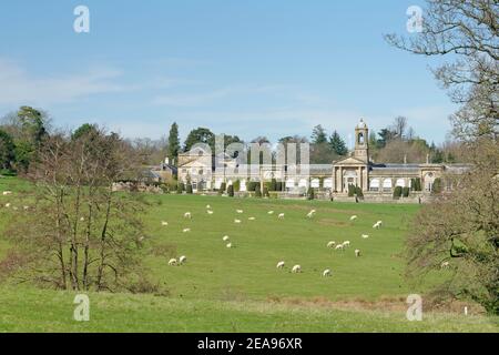 Bowood House and Park, landschaftlich gestaltet von Capability Brown, mit grasenden Hausschafen (Ovis aries) im Vordergrund, Derry Hill, Wiltshire, UK. Stockfoto
