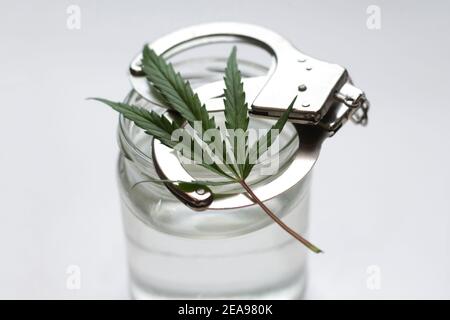 Defocus Cannabis Marihuana Blatt, Handschellen, Dose Wasser. Die Illegalität der Drogen. Weißer Hintergrund. Transparenter Behälter. Minimalismus. Nicht fokussiert Stockfoto