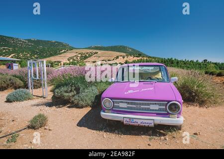 07. September 2020, Isparta, Türkei: Dekoratives Auto und Schaukel in der Mitte eines Lavendelfeldes. Outdoor-Foto-Shooting Spot für Selfies und Social Net Stockfoto