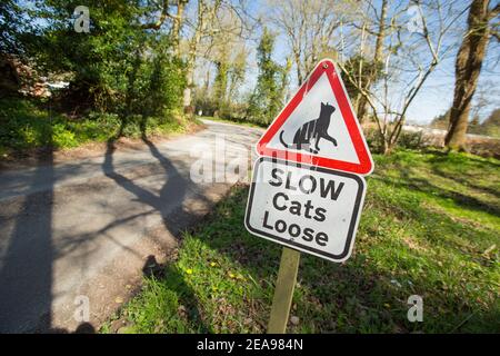 Ein Schild warnt Fahrer zu verlangsamen, wie Katzen auf der Straße sein können. Dorset England GB Stockfoto