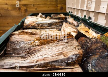 Nahaufnahme von Baumstämmen und Holz in einem Log gespeichert Feld Stockfoto