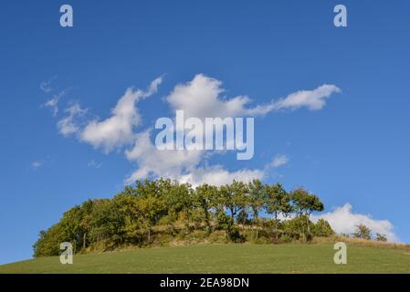 Landschaft in der Nähe von Modena in Italien Stockfoto