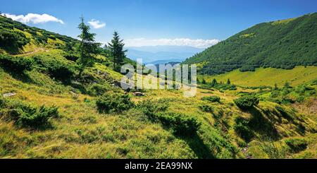 Berglandschaft an einem Sommertag. Bäume auf dem grasbewachsenen Hügel. Landschaft Rollen hinunter das Tal in die Ferne. Blauer Himmel mit flauschigen Wolken abow Stockfoto