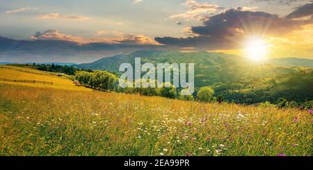 Ländliche Landschaft mit blühenden Graswiese bei Sonnenuntergang. Schöne Naturlandschaft der karpaten im Abendlicht. Flauschige Wolken auf dem blauen sk Stockfoto