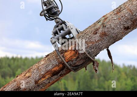 Log loader Greifer Befestigung lädt Holzstämme an einem Arbeitsplatz, Detail, Himmel und Wald Hintergrund. Stockfoto