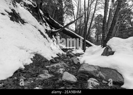 Schwarz-Weiß-Winteransicht des Ice House Canyon Creek in der Nähe von Mt. Baldy in den San Gabriel Mountains in Südkalifornien. Stockfoto