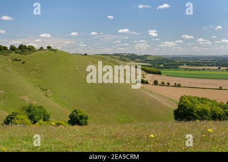 Pewsey Downs und das Tal von Pewsey, im Sommer vom Knap Hill aus gesehen, in der Nähe von Devizes, Wiltshire, Großbritannien, Juli. Stockfoto