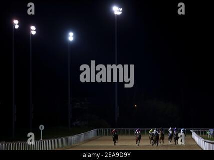 Mack the Knife von Daniel Muscutt (fünfter rechts) auf dem Weg zum Sieg der Betway Classified Stakes auf der Wolverhampton Racecourse. Bilddatum: Montag, 8. Februar 2021. Stockfoto