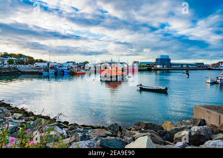 Fischerboote dockten am Pier, Howth Fishery Harbour. Howth, County Dublin, Irland, Europa Stockfoto