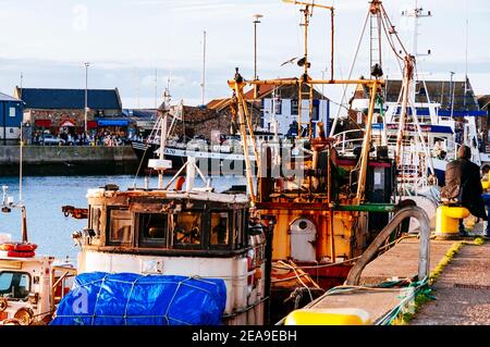 Fischerboote dockten am Pier, Howth Fishery Harbour. Howth, County Dublin, Irland, Europa Stockfoto