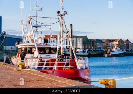 Fischerboote dockten am Pier, Howth Fishery Harbour. Howth, County Dublin, Irland, Europa Stockfoto