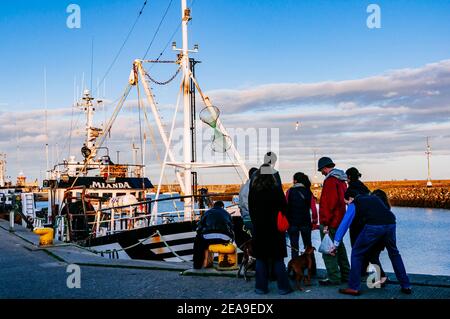 Fischerboote dockten am Pier, Howth Fishery Harbour. Howth, County Dublin, Irland, Europa Stockfoto