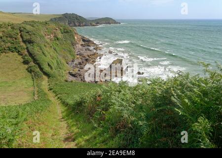Blick nach Norden auf dem hügeligen South West Coast Path in Richtung Drennick und Black Head, nahe Pentewan, South Cornwall, Großbritannien, August 2020. Stockfoto