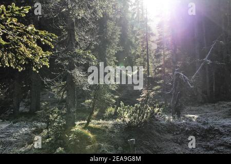 Österreich, Tirol, Leutasch, Leutaschtal, Gaistal, Berge, alpen, Wettersteingebirge, Berglandschaft, Berglandschaft, Idylle, atmosphärisch, Raureif, Himmel, Felsen, Tourismus, Spätherbst, Natur, Bäume Stockfoto