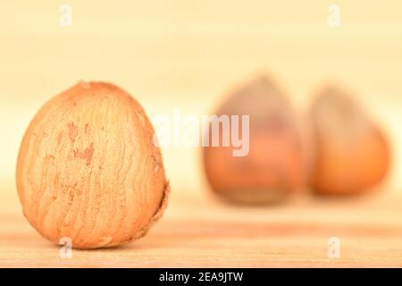 Im Vordergrund, im Fokus, Makro - eine geschälte natürliche reife Haselnuss. Im Hintergrund sind zwei ganze Haselnüsse, vor einem Hintergrund aus natürlichem Holz Stockfoto