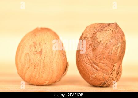 Zwei ganze, braun geschälte leckere Haselnusskerne, vor einem Hintergrund aus natürlichem Holz. Stockfoto