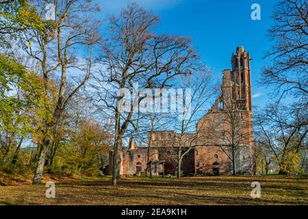 Klosterruinen Limburg, Pfälzer Weinstraße, Bad Dürkheim, Deutsche Weinstraße, Pfälzerwald, Rheinland-Pfalz, Deutschland Stockfoto