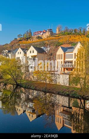 Kauzenburg in Bad Kreuznach, nahe-Tal, Rheinland-Pfalz, Deutschland Stockfoto