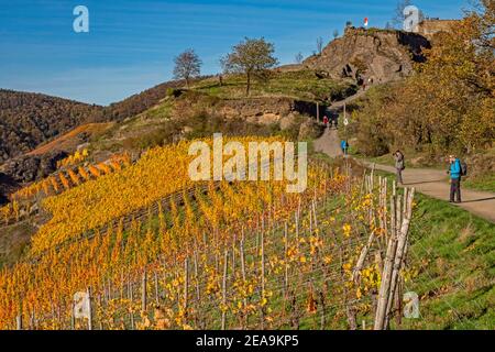 Die Saffenburg im Ahrtal bei Mayschoss, Rheinland-Pfalz, Deutschland Stockfoto