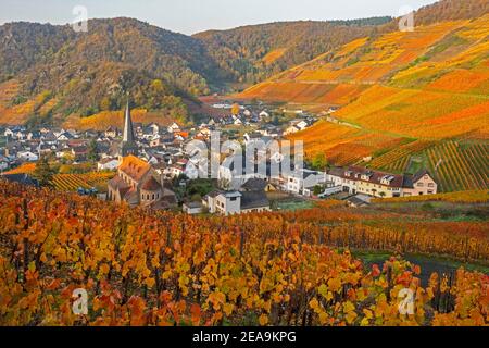 Blick auf die Stadt Mayschoss im Ahrtal, Rheinland-Pfalz, Deutschland Stockfoto