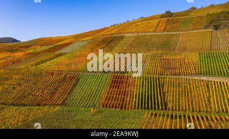 Weinberge bei Dernau im Ahrtal, Rheinland-Pfalz, Deutschland Stockfoto