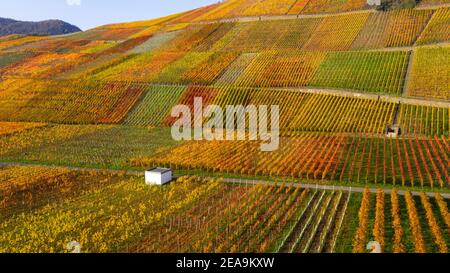 Weinberge bei Dernau im Ahrtal, Rheinland-Pfalz, Deutschland Stockfoto