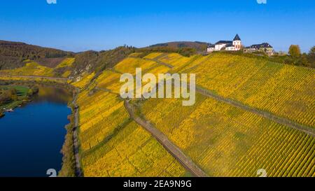 Marienburg über Pünderich mit Blick auf Bullay, Moseltal, Rheinland-Pfalz, Deutschland Stockfoto