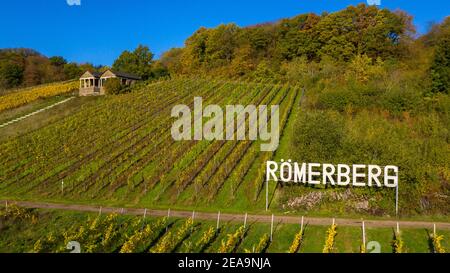 Römische Gräber auf dem Römerberg bei Nehren, Moseltal, Rheinland-Pfalz, Deutschland Stockfoto