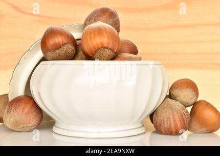 Mehrere ganze braune köstliche Bio-reife Haselnüsse, liegen in einer Keramikplatte mit einem Deckel, auf einem Hintergrund aus natürlichem Holz. Stockfoto